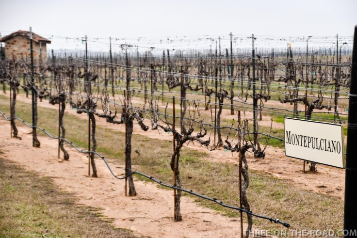 20180228-20180228-DSC_0019