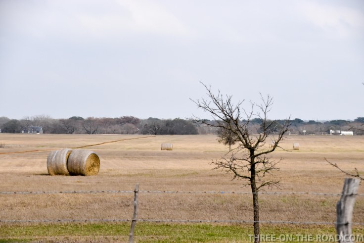 20180228-20180228-DSC_0029