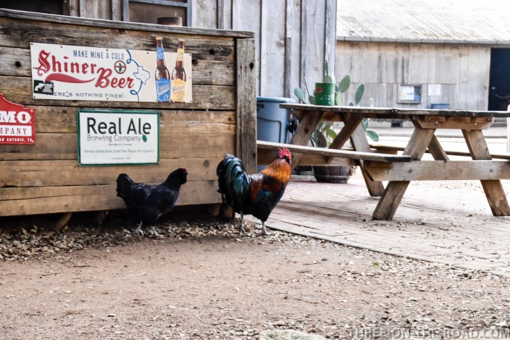 20180228-20180228-DSC_0100