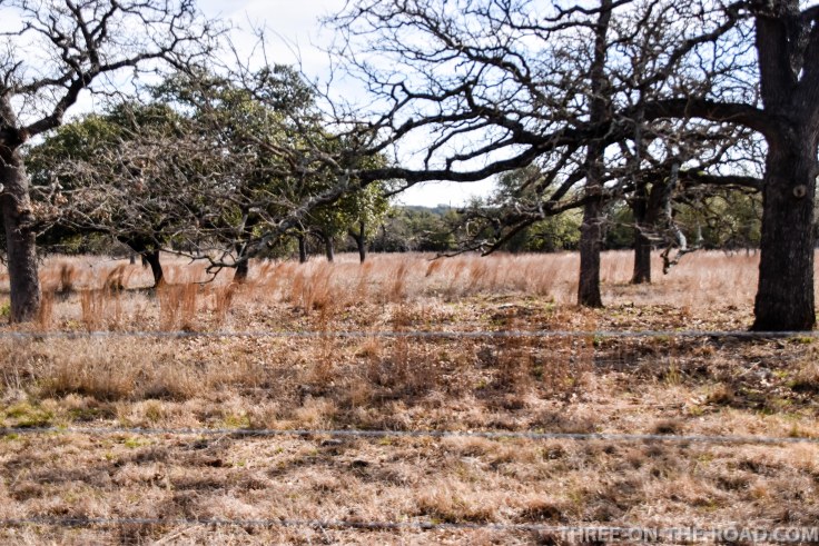 20180301-20180301-DSC_0005