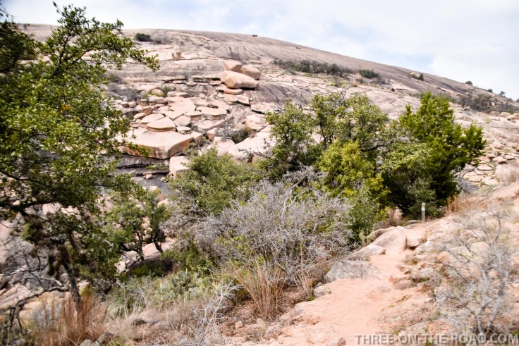 20180301-20180301-DSC_0065