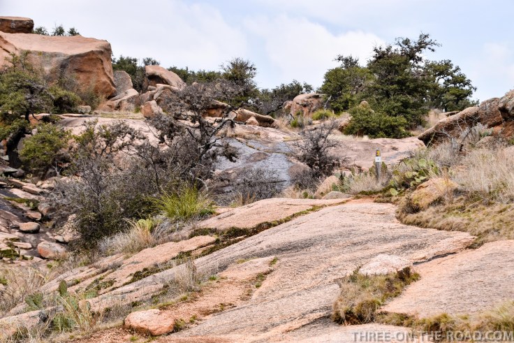 20180301-20180301-DSC_0068