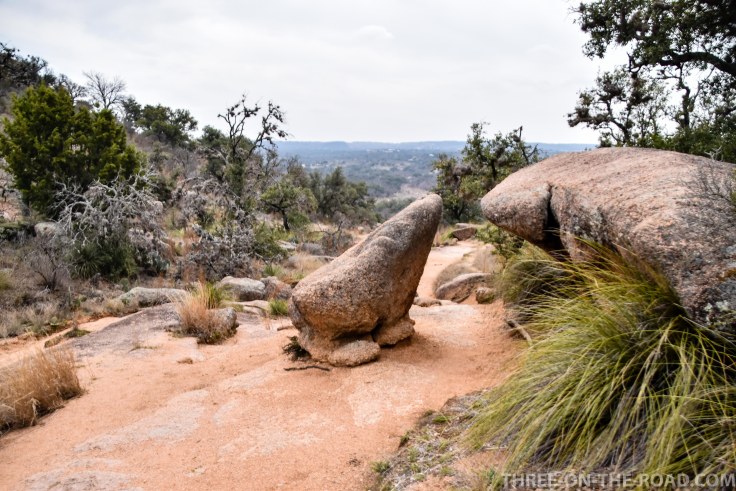 20180301-20180301-DSC_0070