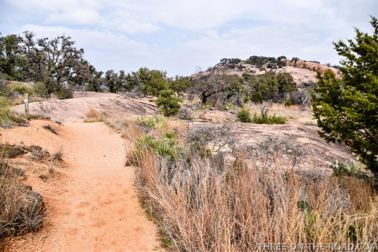 20180301-20180301-DSC_0072