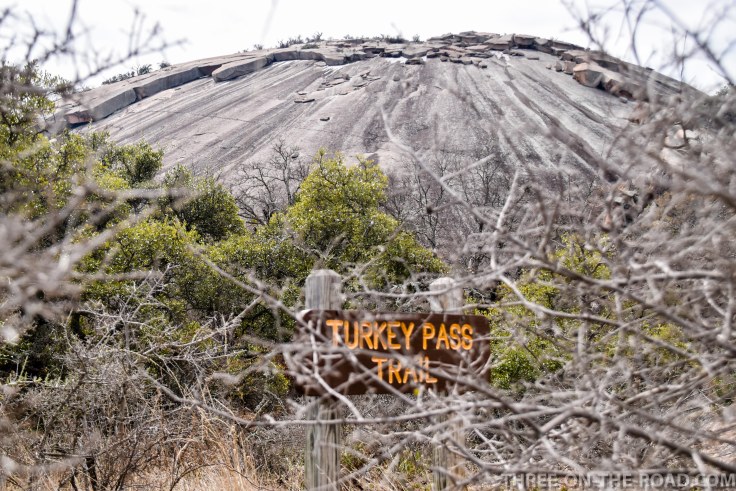 20180301-20180301-DSC_0077