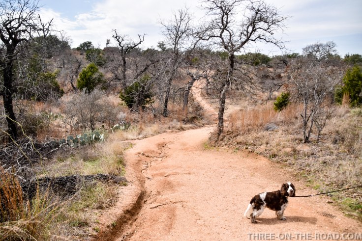 20180301-20180301-DSC_0087