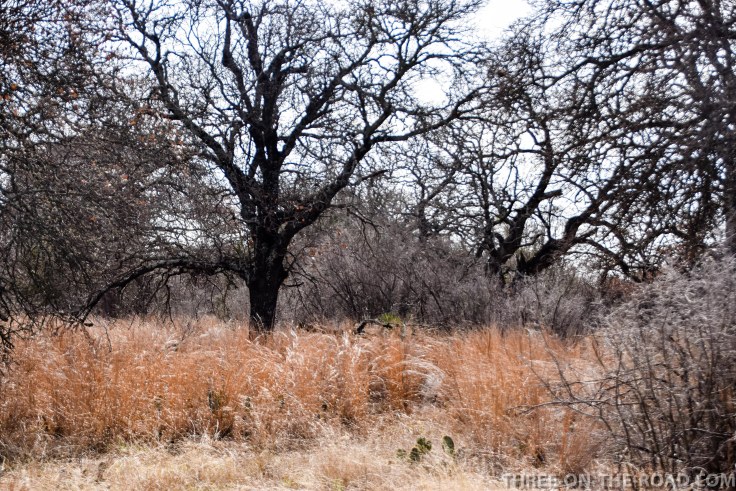 20180301-20180301-DSC_0105