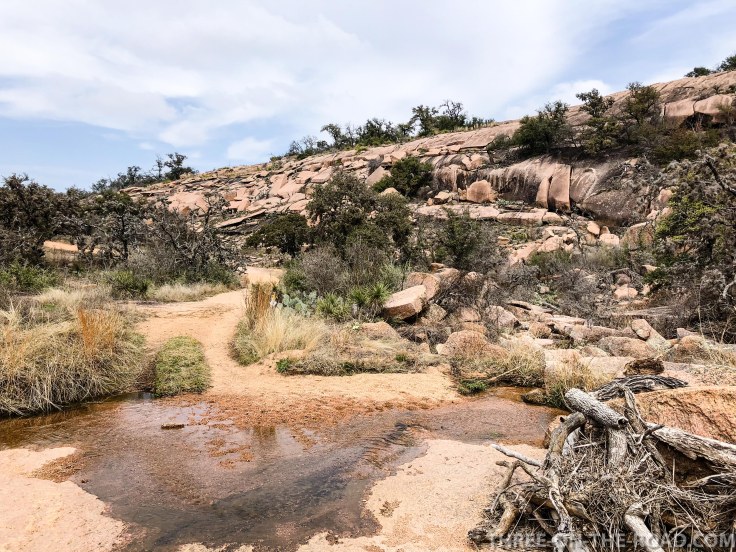 20180301-20180301-IMG_1964