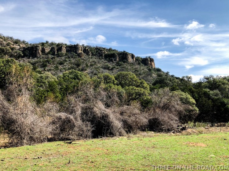 20180301-20180301-IMG_3483