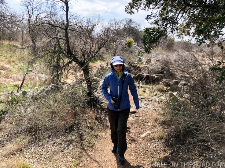 20180301-20180301-IMG_3497