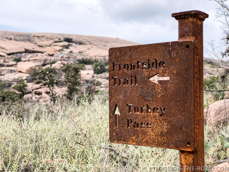 20180301-20180301-IMG_3499