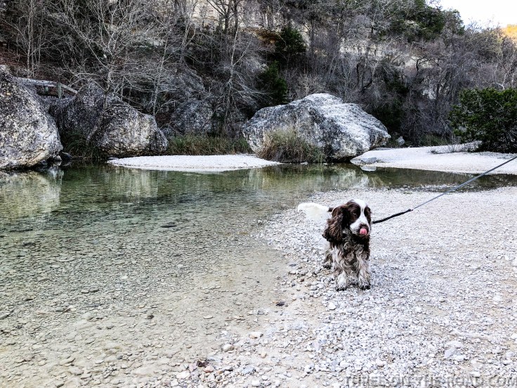 20180302-20180302-IMG_3588