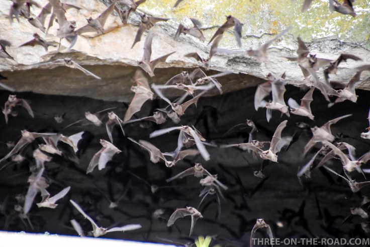 20180306-20180306-DSC_0059