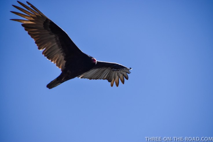 20180307-20180307-DSC_0025