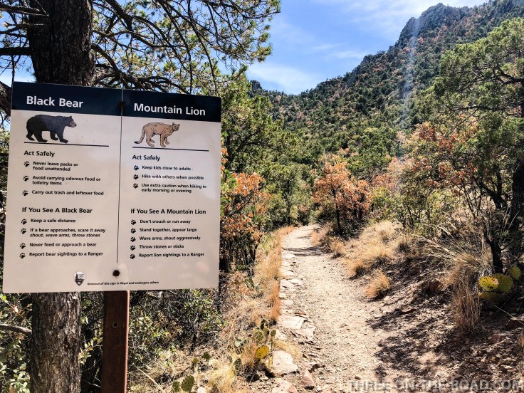 Lost Mine Trail, Big Bend