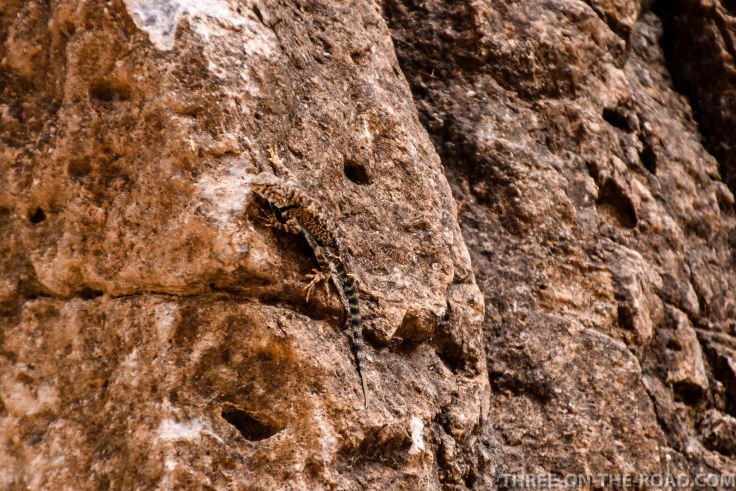 Closed Canyon, Big Bend SP