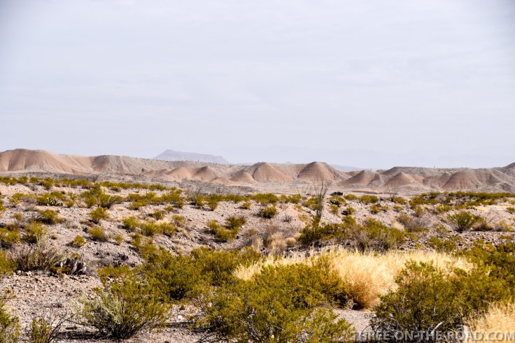 20180311-20180311-DSC_0779