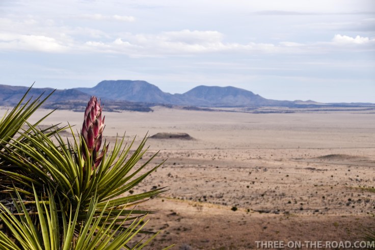 Davis Mountain State Park