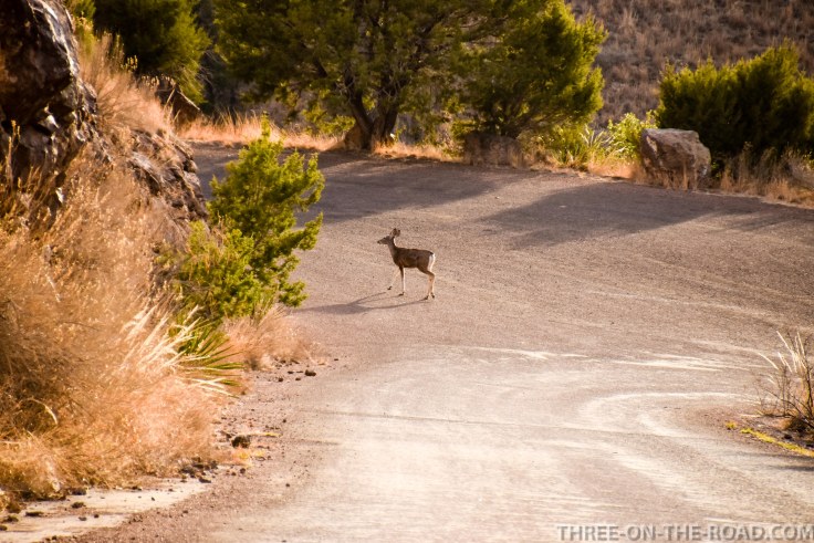Davis Mountain State Park