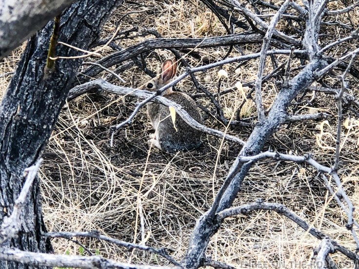 20180316-20180316-IMG_4145