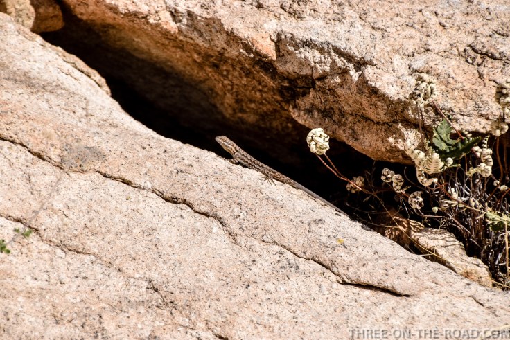 20180317-20180317-DSC_0027