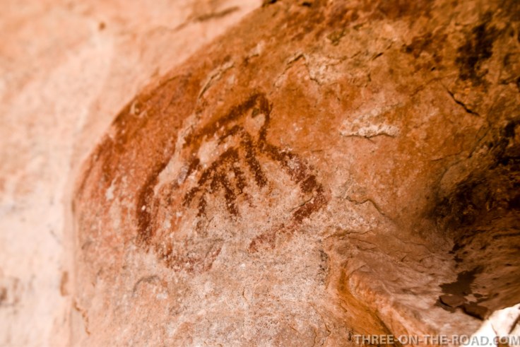 20180317-20180317-DSC_0028