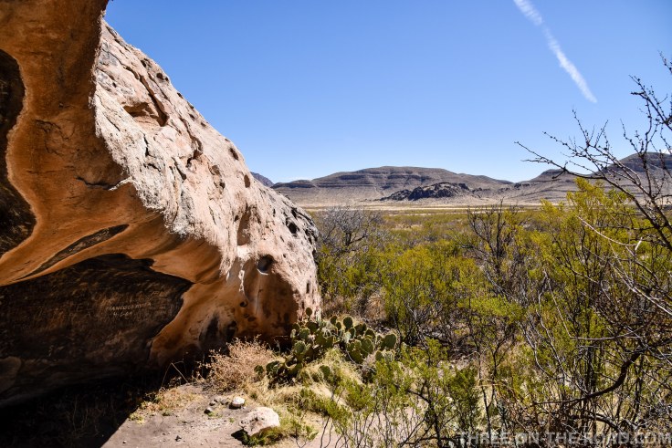 20180317-20180317-DSC_0058