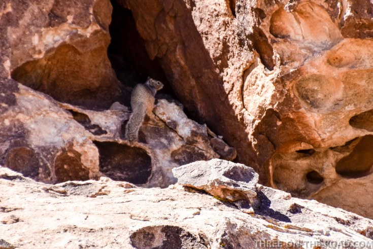 20180317-20180317-DSC_0067