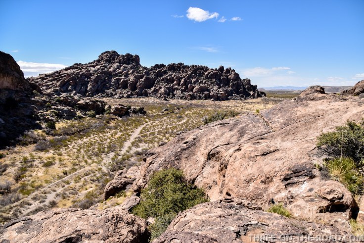 20180317-20180317-DSC_0071