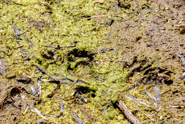 20180317-20180317-DSC_0082