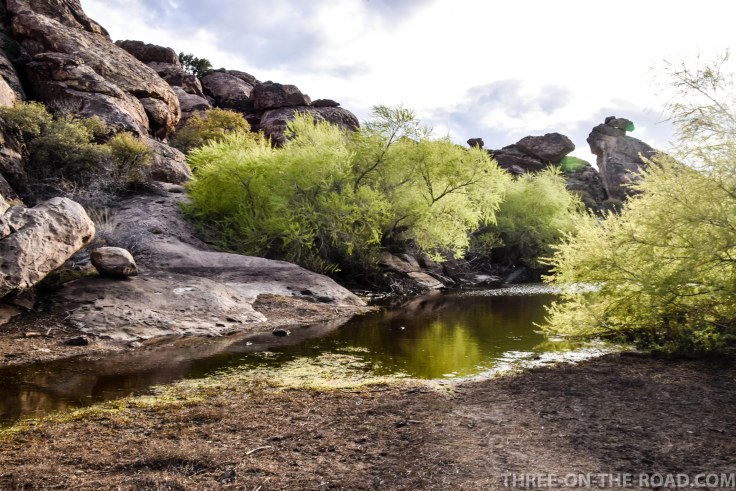 20180317-20180317-DSC_0087