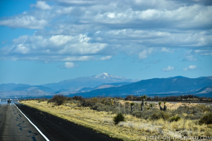 20180318-20180318-DSC_0098