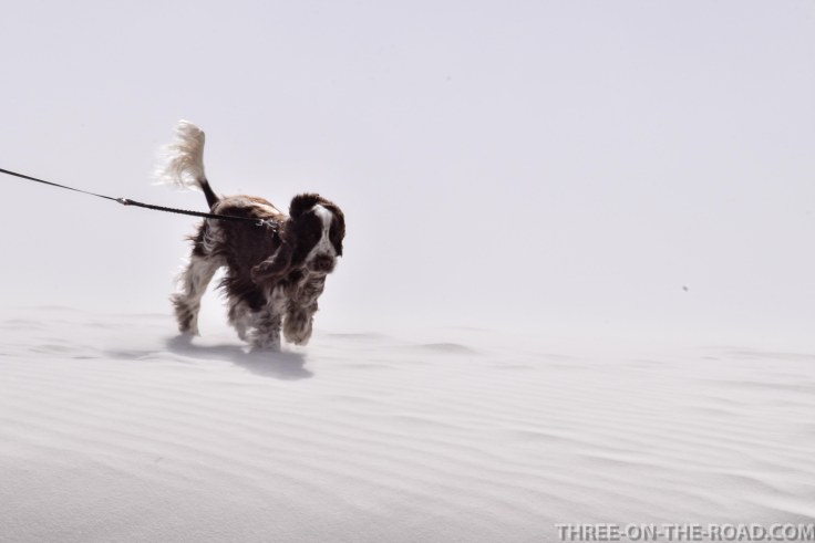 20180318-20180318-DSC_0141