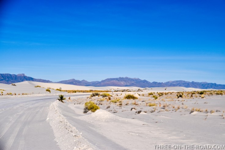 20180319-20180319-DSC_0194