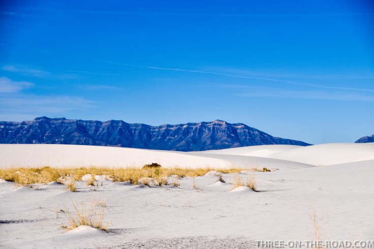 20180319-20180319-DSC_0219