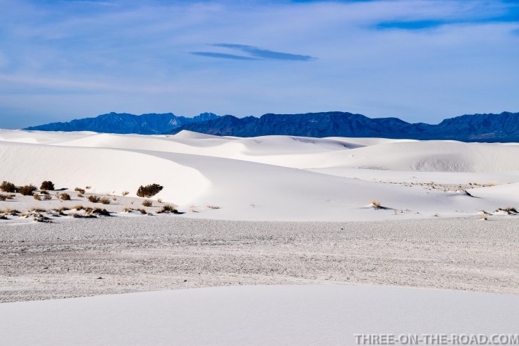 20180319-20180319-DSC_0228