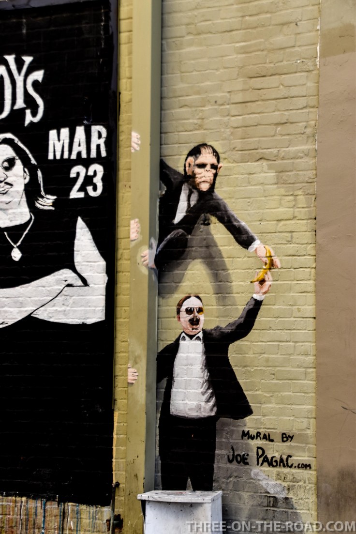 20180320-20180320-DSC_0303