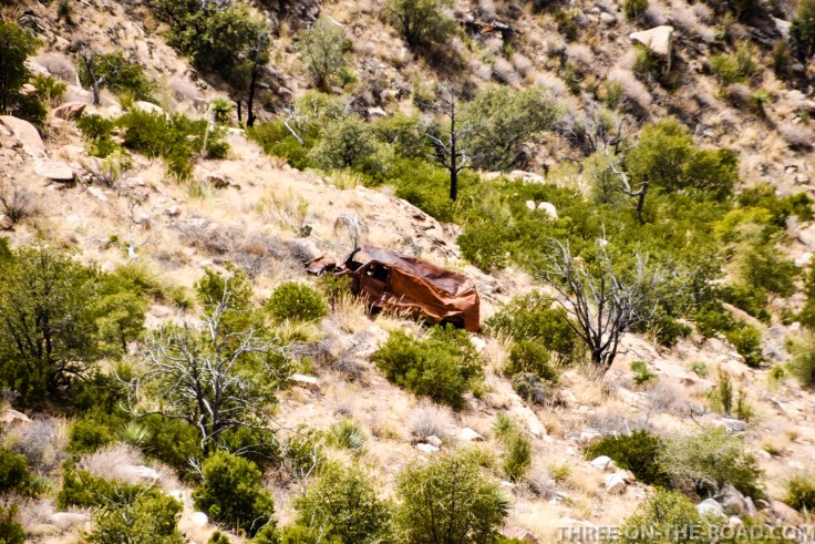 20180321-20180321-DSC_0335