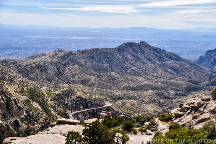 20180321-20180321-DSC_0354