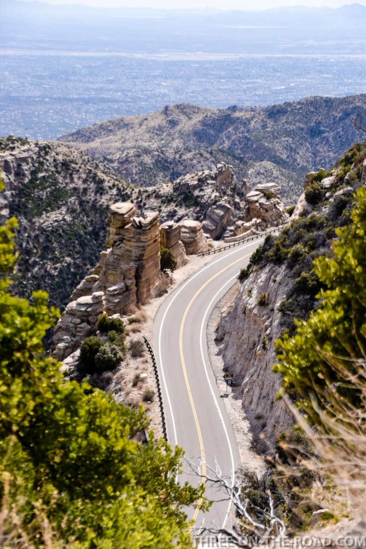 20180321-20180321-DSC_0356