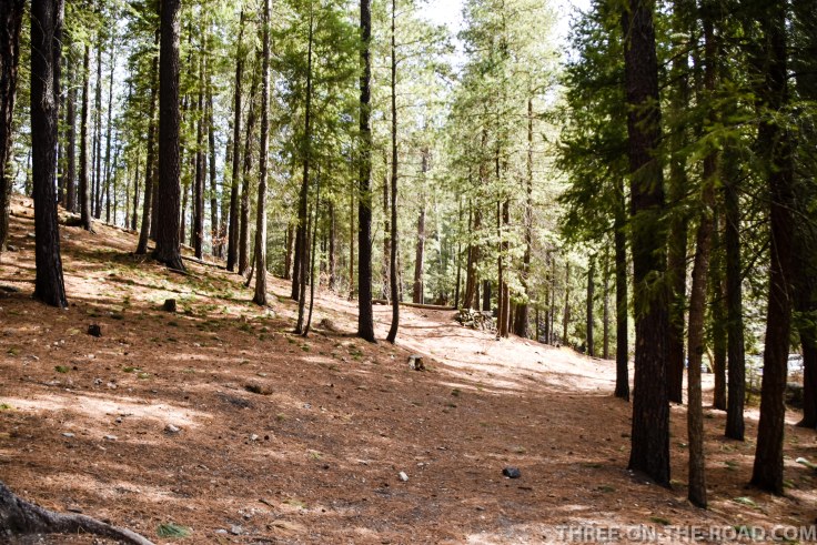 20180321-20180321-DSC_0374