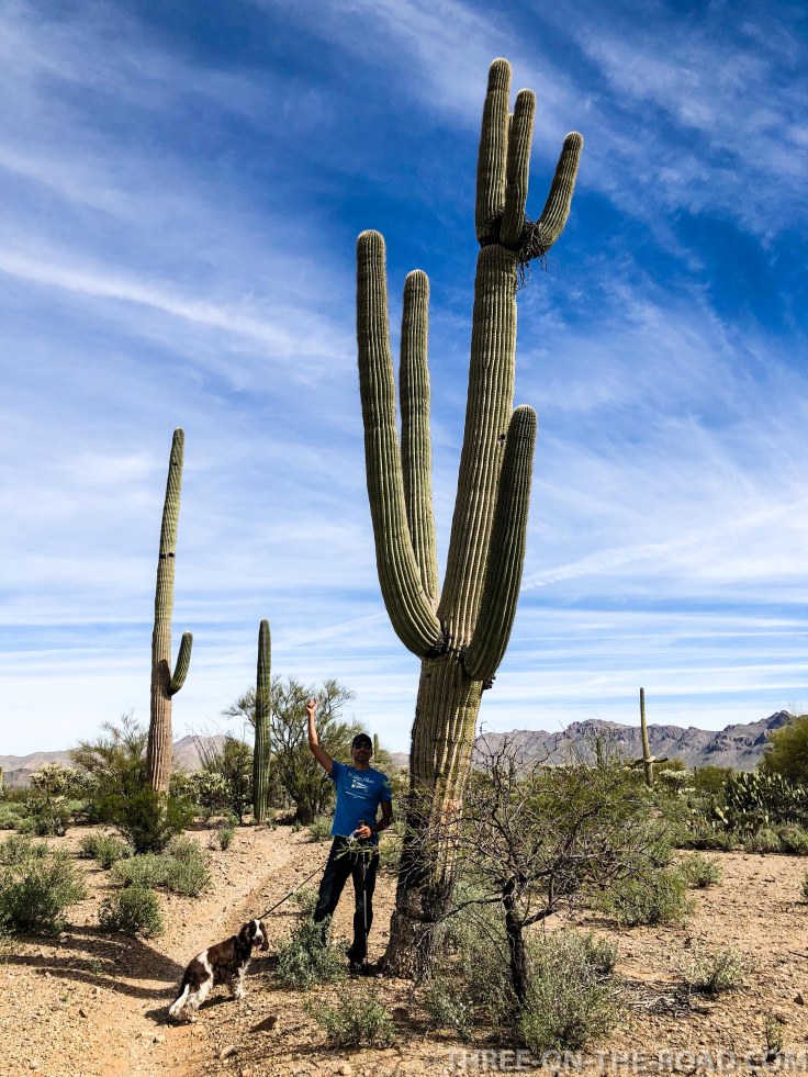 20180321-20180321-IMG_4253