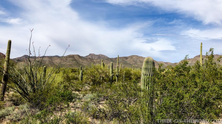 20180322-20180322-JSLJ3945