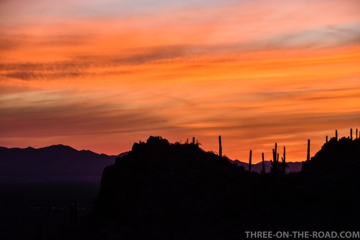 20180323-20180323-DSC_0035