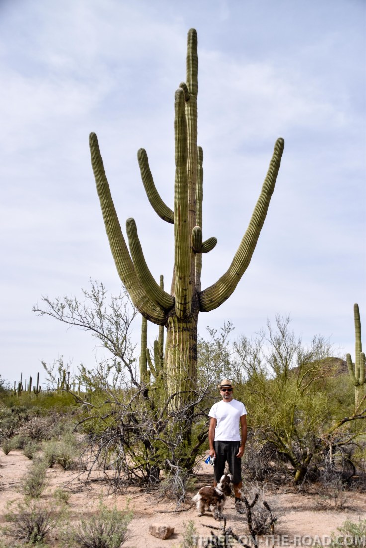 20180325-20180325-DSC_0012