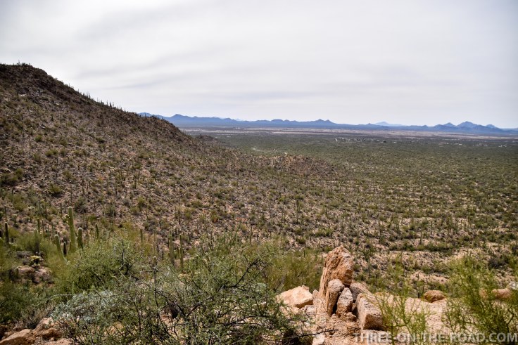 20180325-20180325-DSC_0020