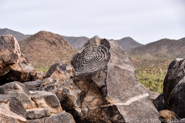 20180325-20180325-DSC_0029