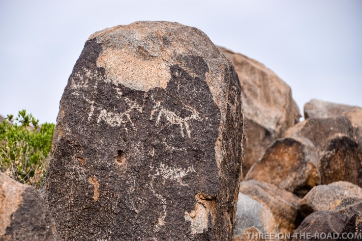 20180325-20180325-DSC_0030