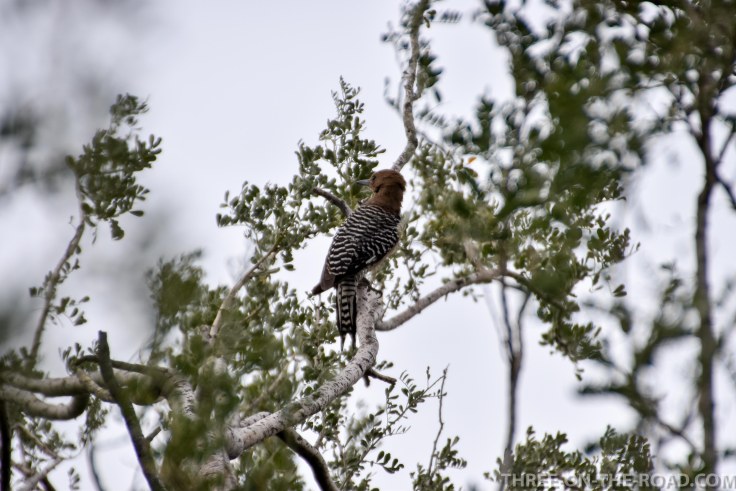 20180325-20180325-DSC_0041