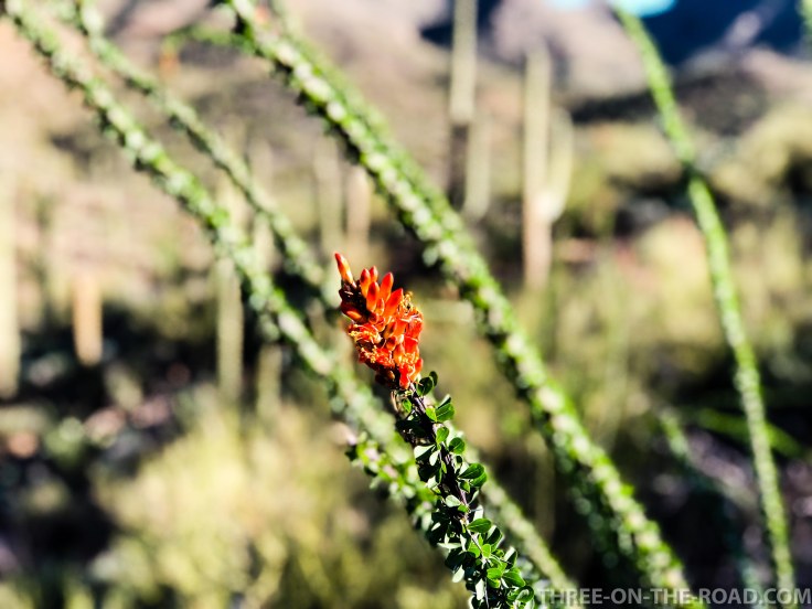 20180325-20180325-IMG_E4334